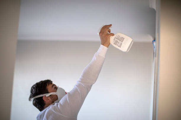 Best Commercial Mold Remediation in Apple Creek, OH
