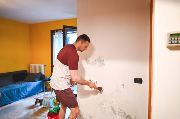 Best Industrial Mold Remediation in Apple Creek, OH
